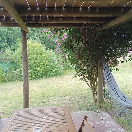 Casas Punta Negra Villa Piriapolis Ngoại thất bức ảnh